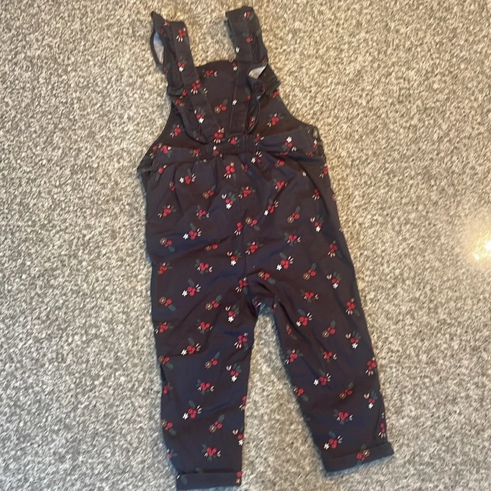 Carters baby girl pattern overallsl